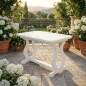 Preview: stabiler gartentisch